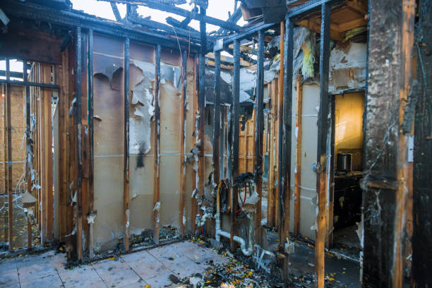 Professional Fire Damage Removal technician working in Kensington Park, FL
